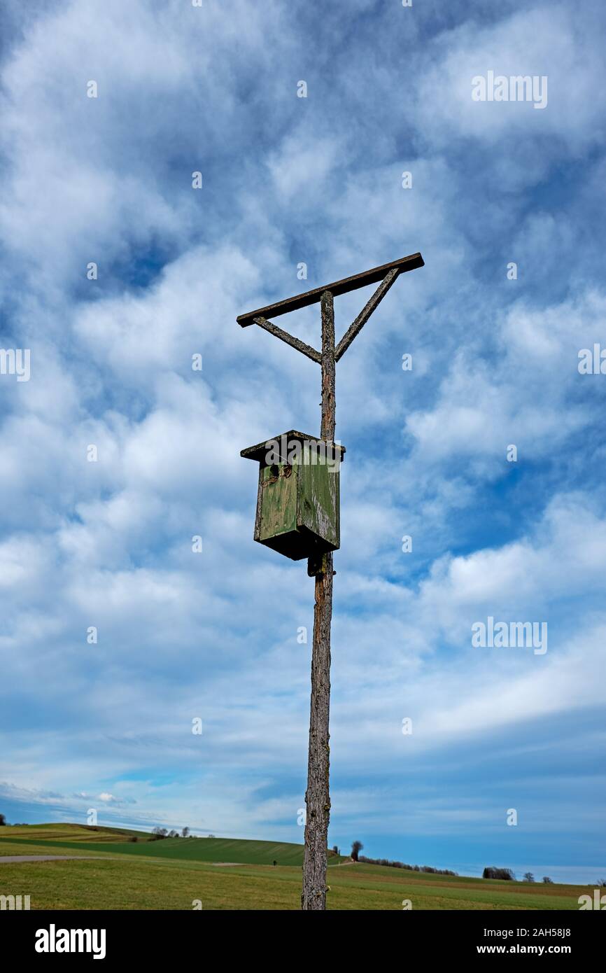 Installation en bois utilisés par les oiseaux de proie comme stand soulevé et une cabane à oiseaux pour smaler pour élever leur postérité Banque D'Images