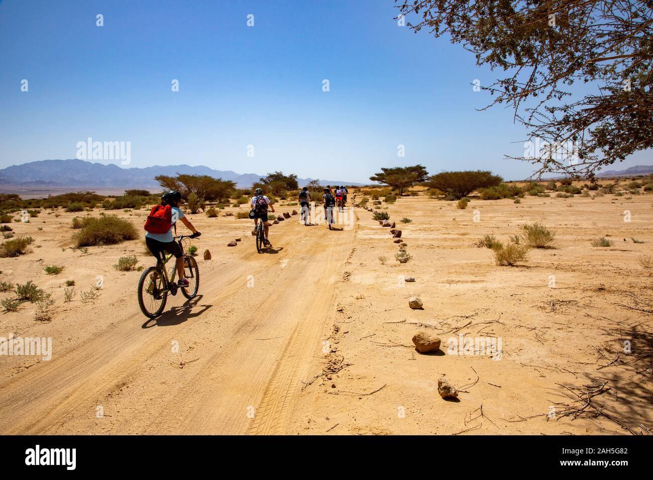 Cycles groupe dans Timna Park, l'Arava, Israël Banque D'Images