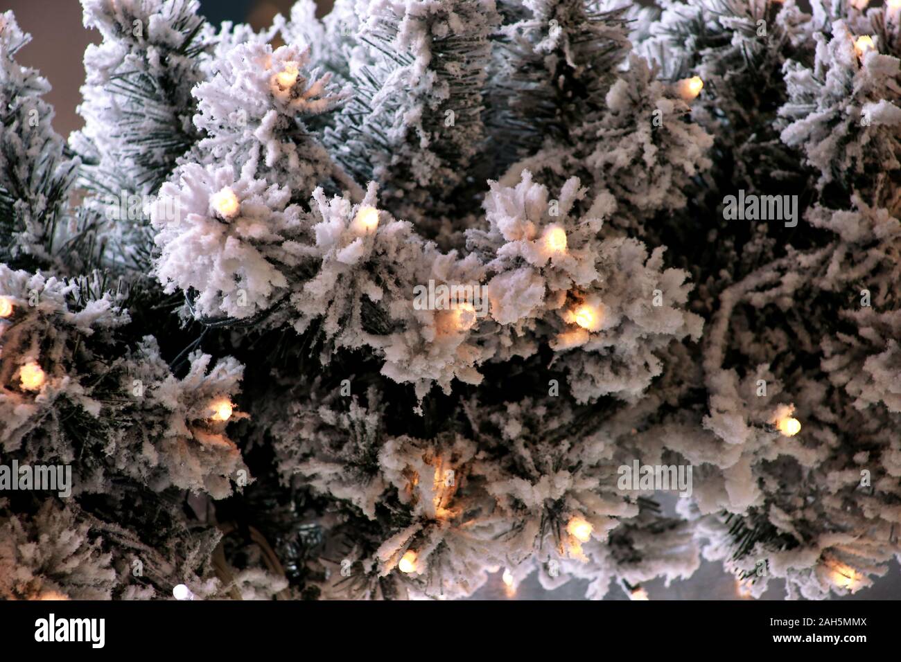 Noël traditionnel des lumières clignotantes sur les rameaux de l'arbre vert avec couche de neige couvertes de pins en hiver. Branches de sapins avec string lampes feux de riz. Banque D'Images