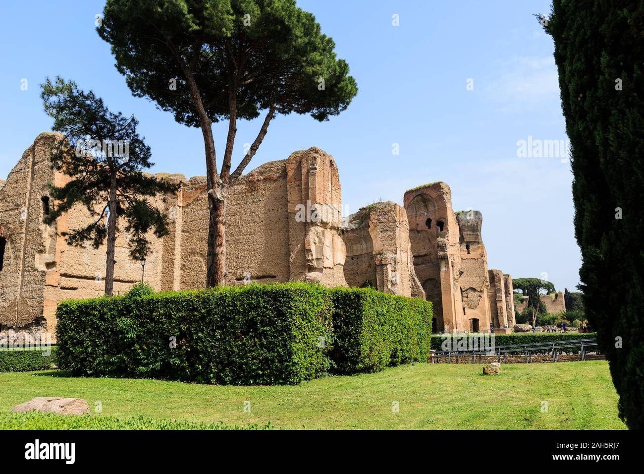 Vue panoramique sur terme di Caracalla à Rome. Des pins parapluie dans de vastes ruines Banque D'Images