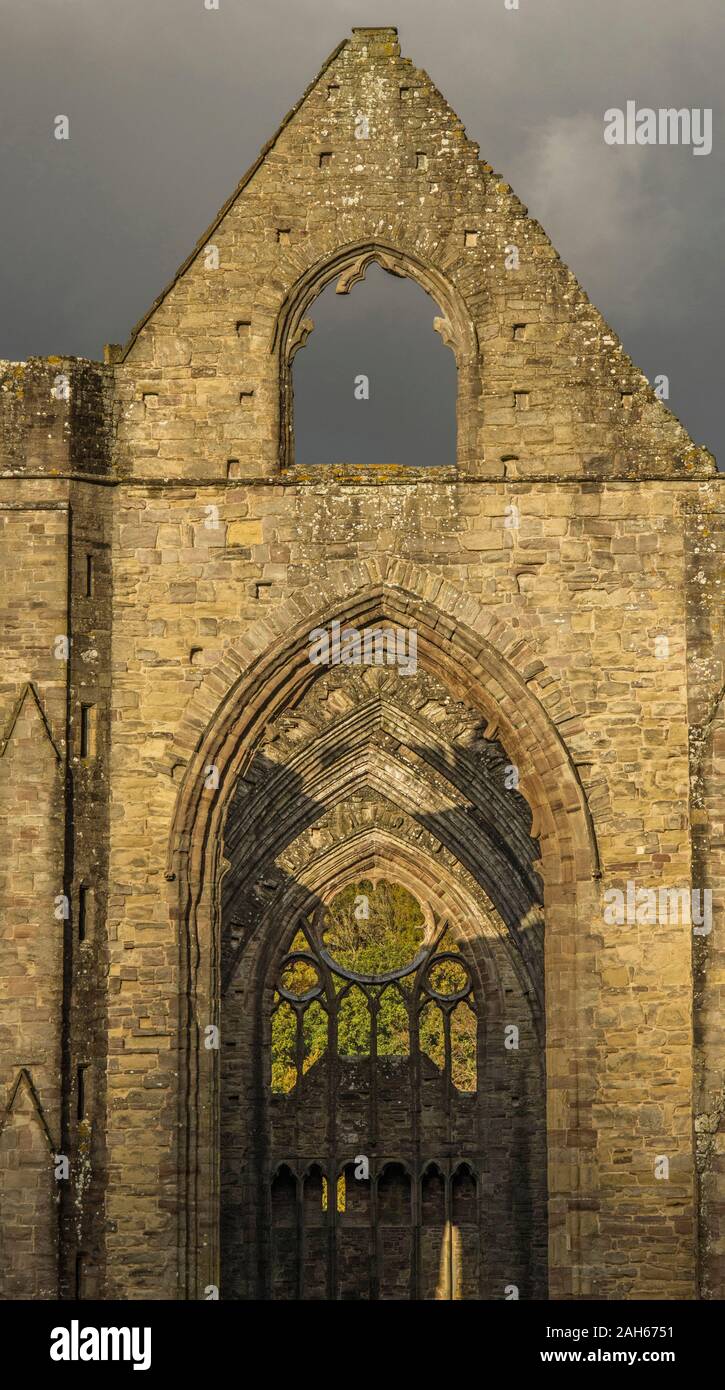 L'abbaye de Tintern à l'ouest avec les bois de couleur novembre derrière dans le Monmoushshire sud du Pays de Galles. La vallée de Wye et l'abbaye de Tintern à leur meilleur. Banque D'Images