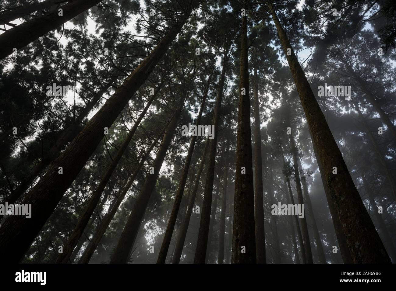 JIALI MONTAGNE (加里山) Banque D'Images