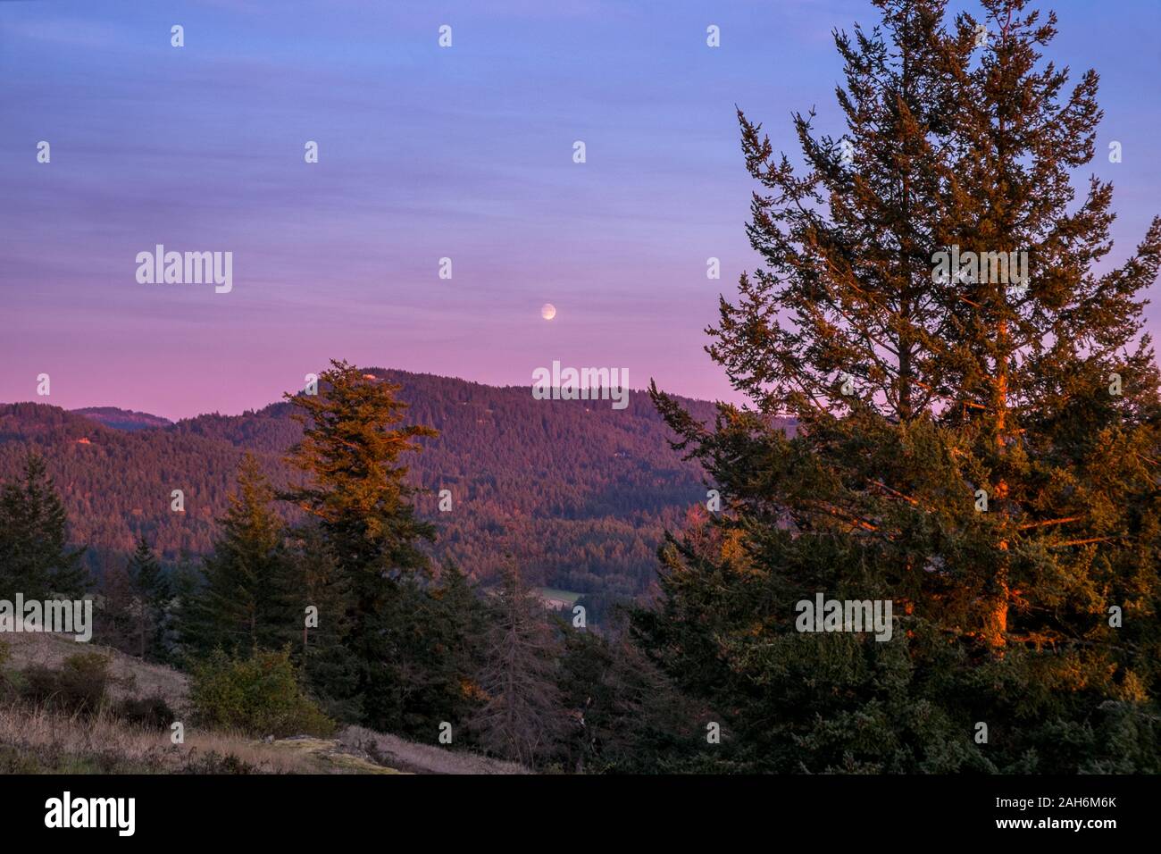 Coucher de soleil sur Turtleback Montagne Préserver, Orcas Island, Washington, USA Banque D'Images