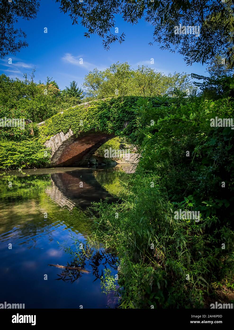 Vue rapprochée du pont de Gapstow à Central Park en été, recouvert de lierre verte et entouré d'une végétation luxuriante Banque D'Images