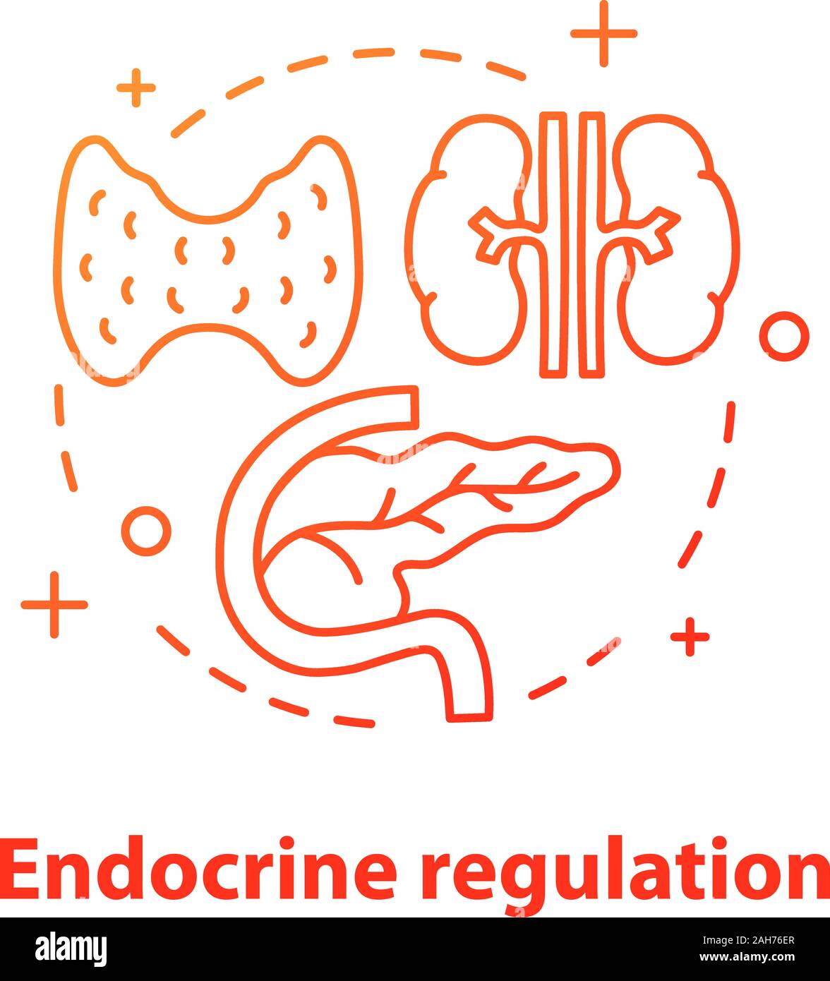 Règlement endocrines concept icône. L'endocrinologie idée fine ligne illustration. Les soins de santé. La glande thyroïde, le pancréas. Dessin vectoriel aperçu isolés Illustration de Vecteur