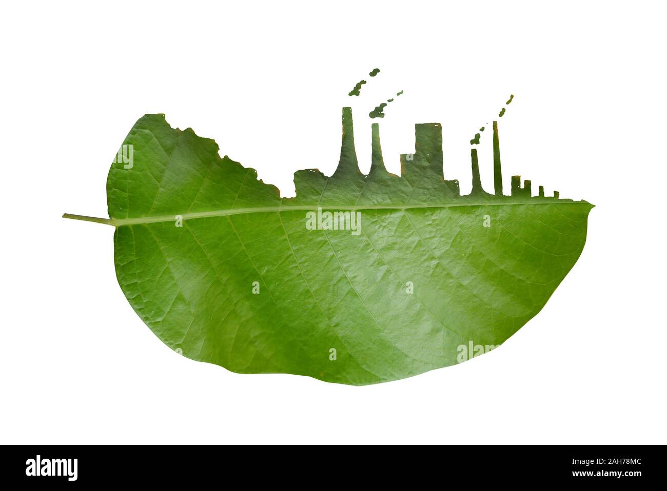 Les feuilles découpées, l'impact de la pollution industrielle. Banque D'Images