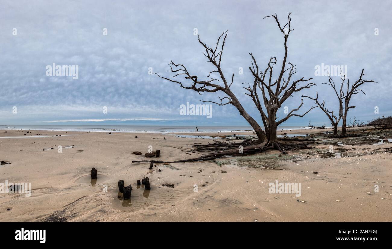 Botany Bay Beach panorama de jour nuageux, Edisto Island, Caroline du Sud, USA Banque D'Images