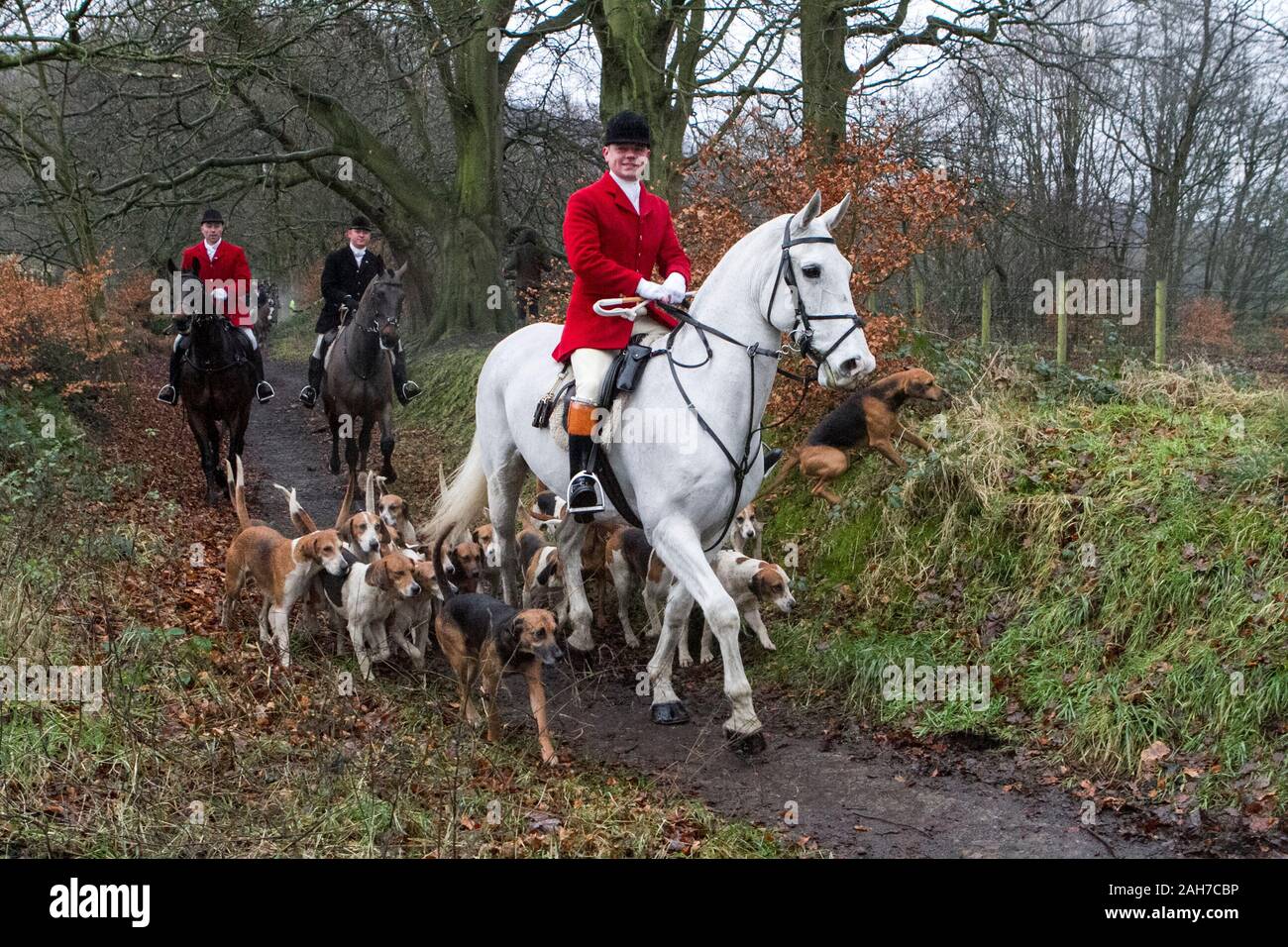 Chorley, Lancashire, Royaume-Uni. 26 décembre 2019. Autour de 50 coureurs de l'Holcombe Hunt rode out le lendemain dans la 400e année de la chasse aux sons des sabots du tonnerre, aboiements et les applaudissements de la foule. Le conseiller-maître de la chasse au phoque, Holcombe Sue Simmons, a conduit les coureurs comme ils ont encerclé la zone pour la foule avant qu'ils quittent Rivington Hall Grange, sur leurs deux heures et demie de trajet. Credit : Cernan Elias/Alamy Live News Banque D'Images