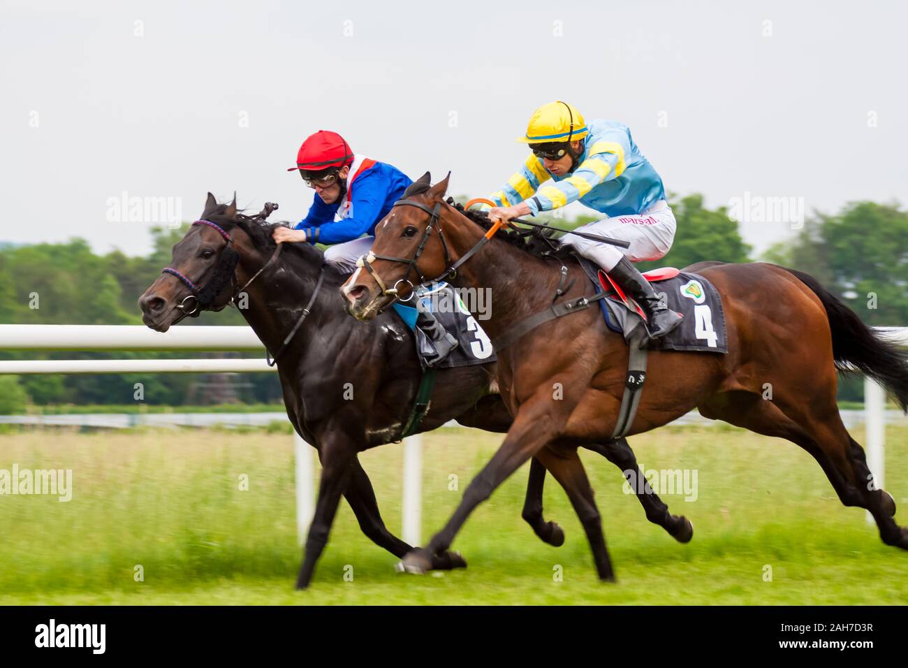 Chevaux qui courent avec jockey pendant la course de Derby Banque D'Images