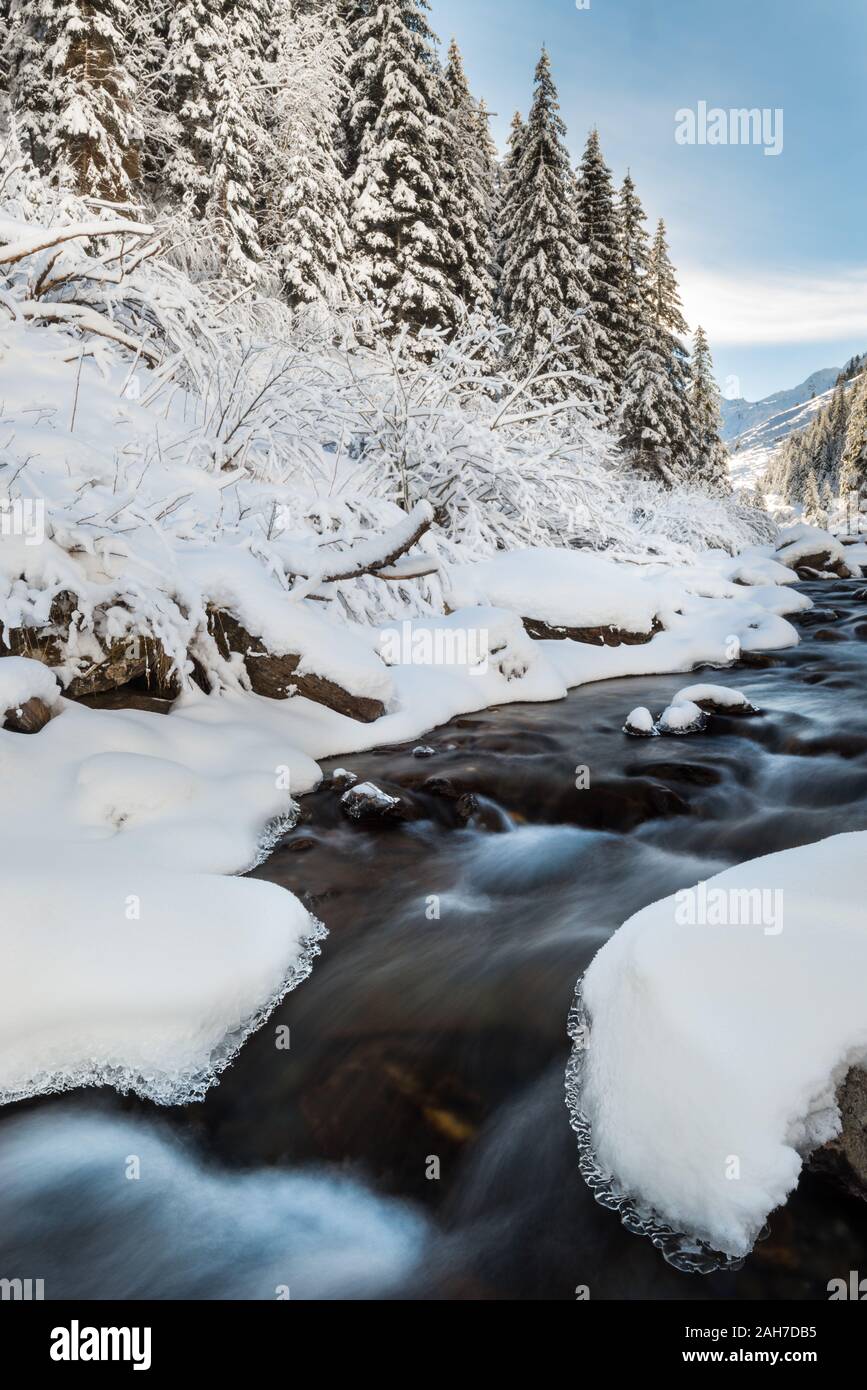 Paysage italien emblématique d'hiver, avec un ruisseau qui s'indéforme entre des rochers enneigés et un pin Banque D'Images