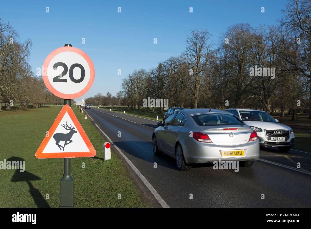 La limite de vitesse de 20 mi/h et le chevreuil aux côtés des panneaux d'avertissement de trafic moteur passant à Bushy Park, au sud-ouest de Londres, Angleterre Banque D'Images