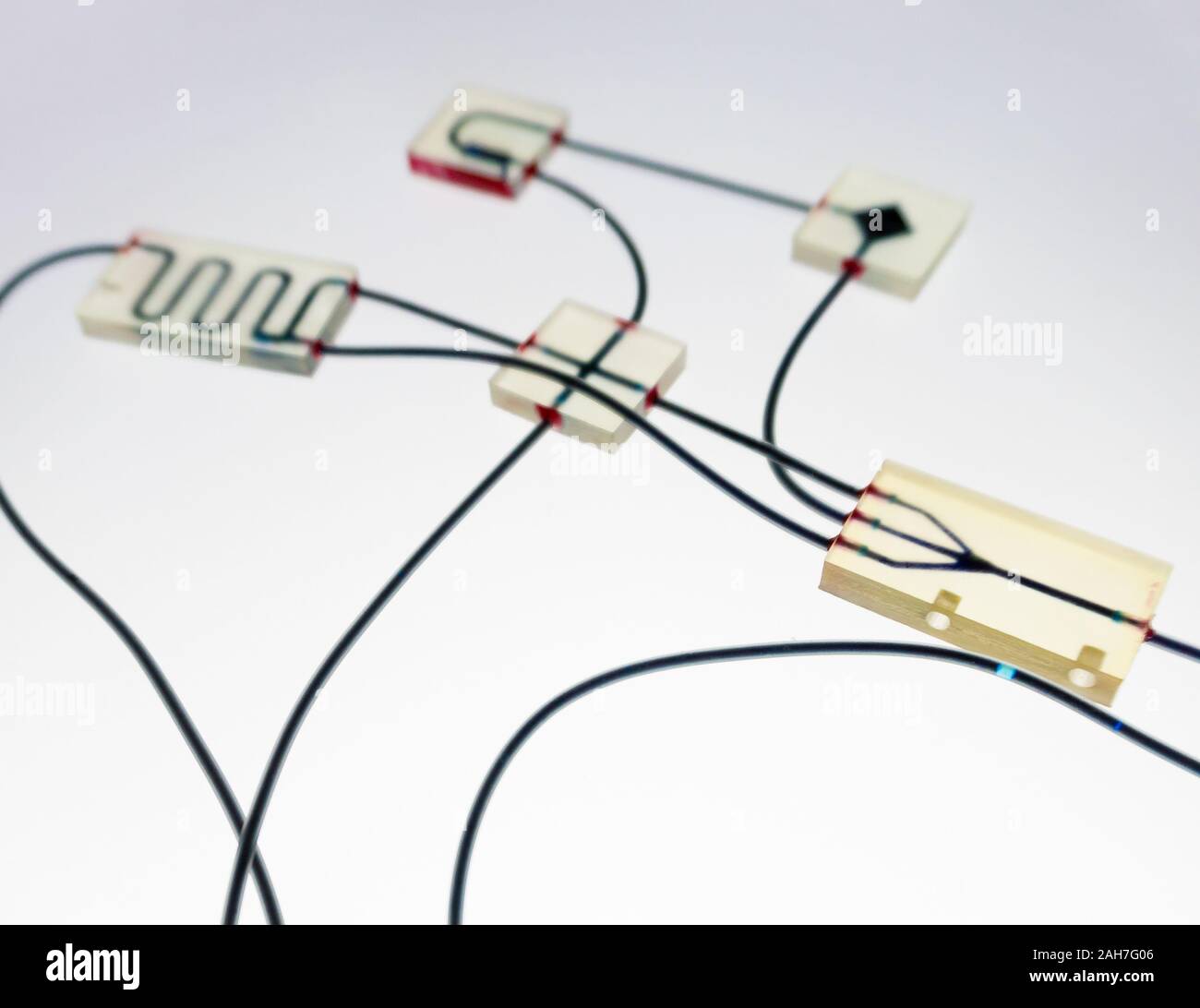 Organe-sur-puce (OOC) - dispositif microfluidique puce qui simule les organes biologiques c'est le type d'organes artificiels. Conception de prototypes de laboratoires sur puce Banque D'Images