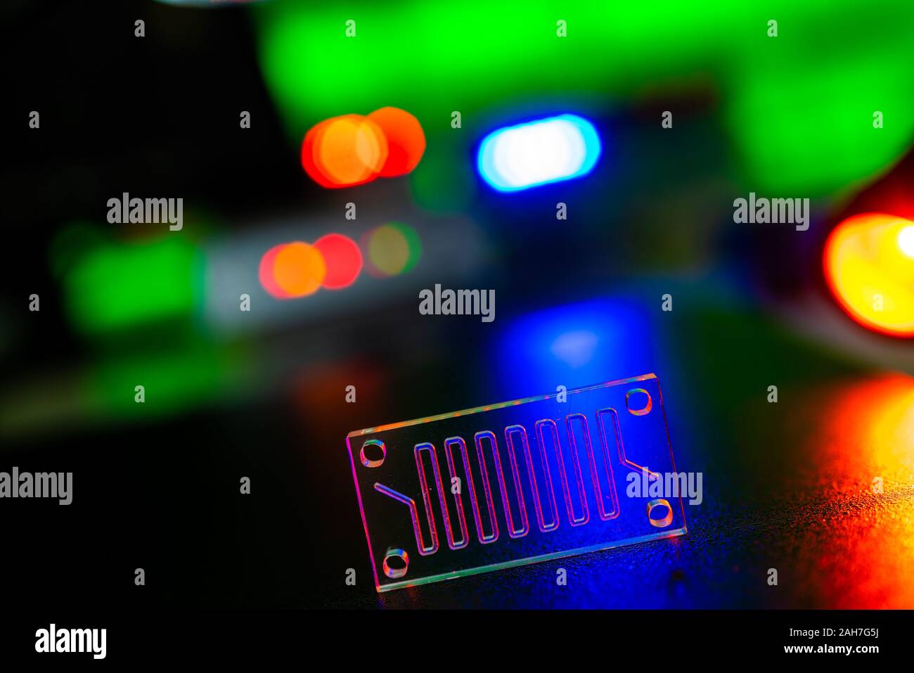 Organe-sur-puce (OOC) - dispositif microfluidique puce qui simule les organes biologiques c'est le type d'organes artificiels. Conception de prototypes de laboratoires sur puce Banque D'Images