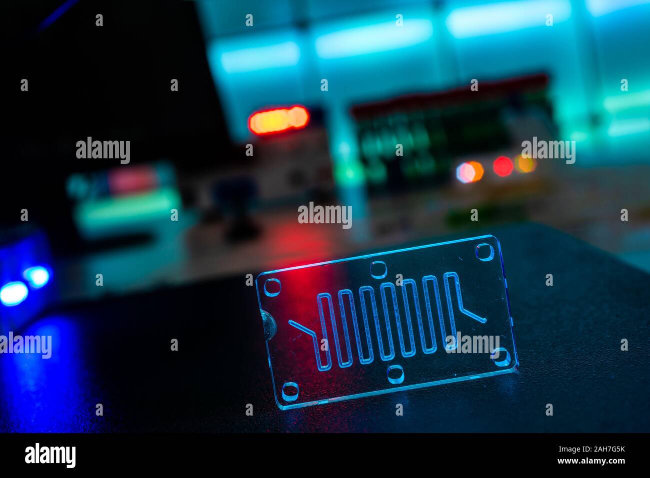 Organe-sur-puce (OOC) - dispositif microfluidique puce qui simule les organes biologiques c'est le type d'organes artificiels. Conception de prototypes de laboratoires sur puce Banque D'Images