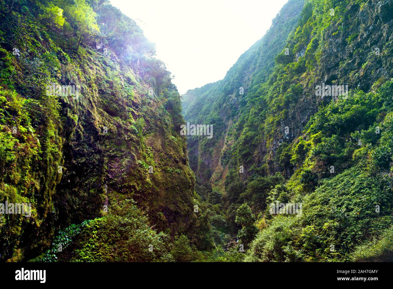 Canyon verdoyant dans le quartier de Ribeira do Inferno et Seixall entre Sao Vincente, Madeira, Portugal Banque D'Images