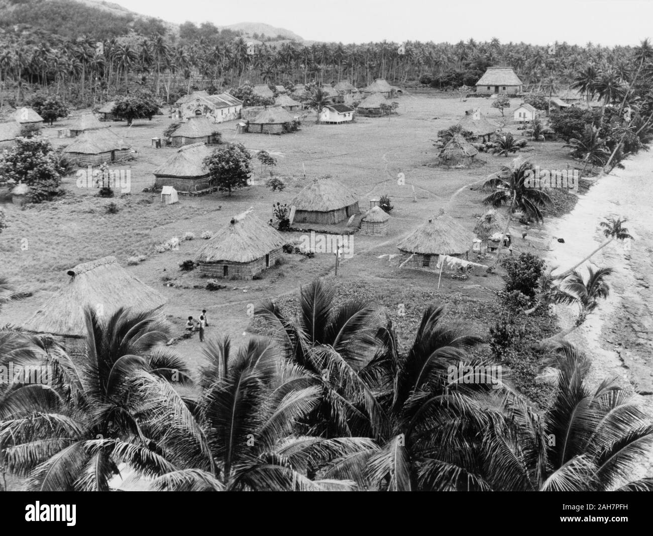 Fidji, un 'village' bure dans FijiA village comprenant un certain nombre de 'traditionnelle fidjienne bures" (habitations) se trouve dans une clairière dans la forêt de palmiers à côté d'une plage. Sous-titre suivant : village côtier, 1965. 2005/010/1/14/32. Banque D'Images