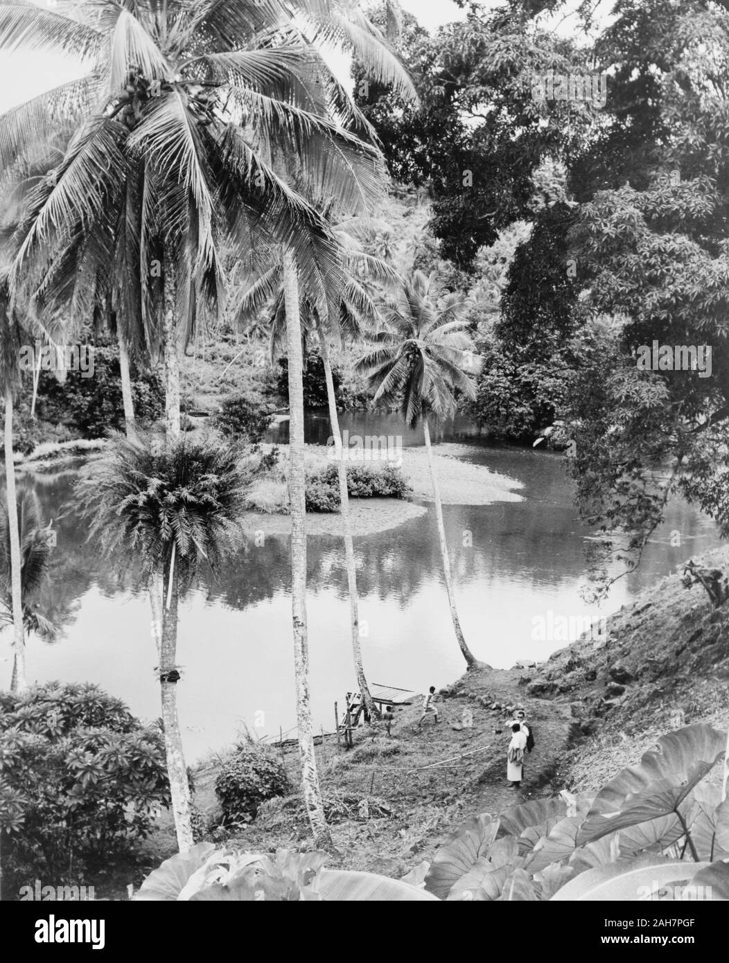 Les Fidji, une rivière jetée sur Vanua LevuA jetée de fortune constitue le seul accès au village de Daria sur les bords d'une large rivière jungle. Sous-titre suivant : le village de Daria n'est accessible que par la rivière, 1965. 2005/010/1/14/57. Banque D'Images