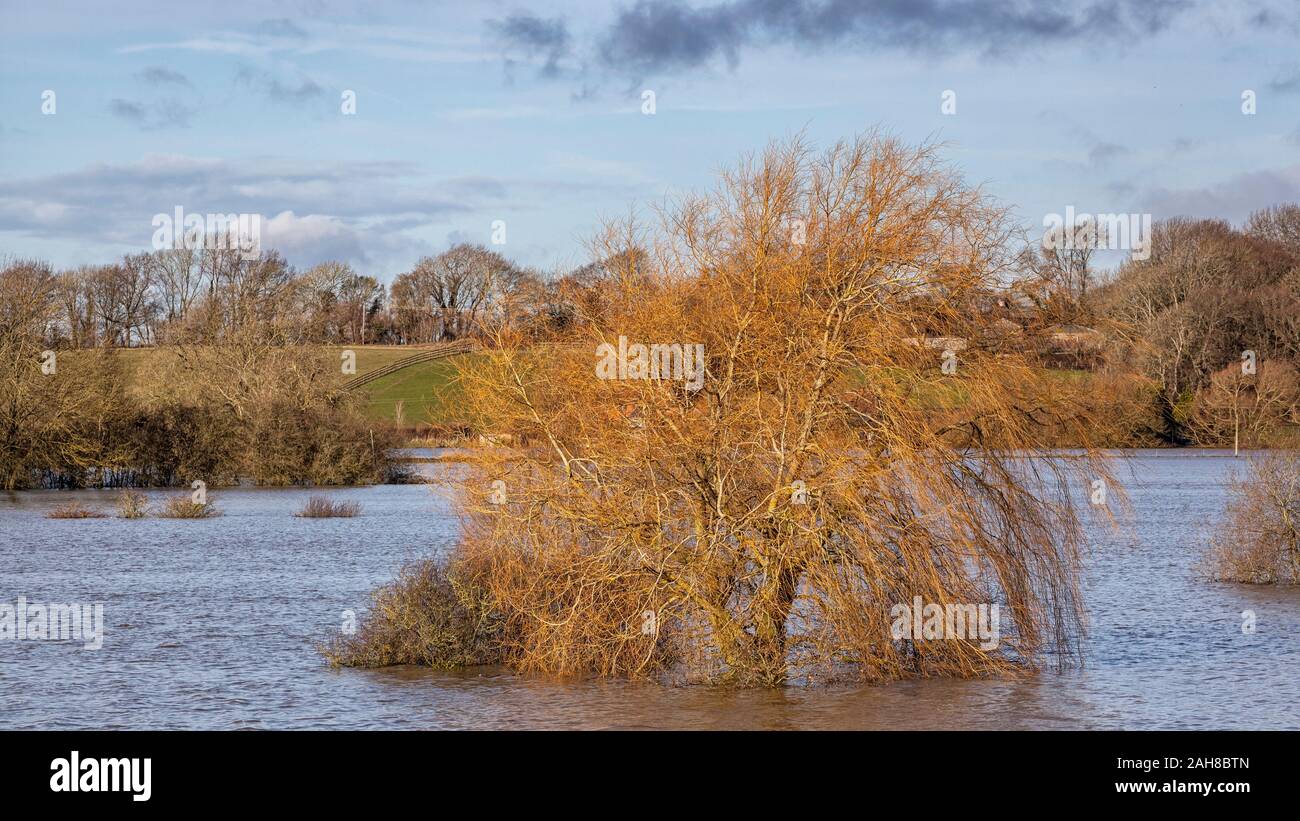 Les plaines de l'inondation de la rivière Adur Banque D'Images