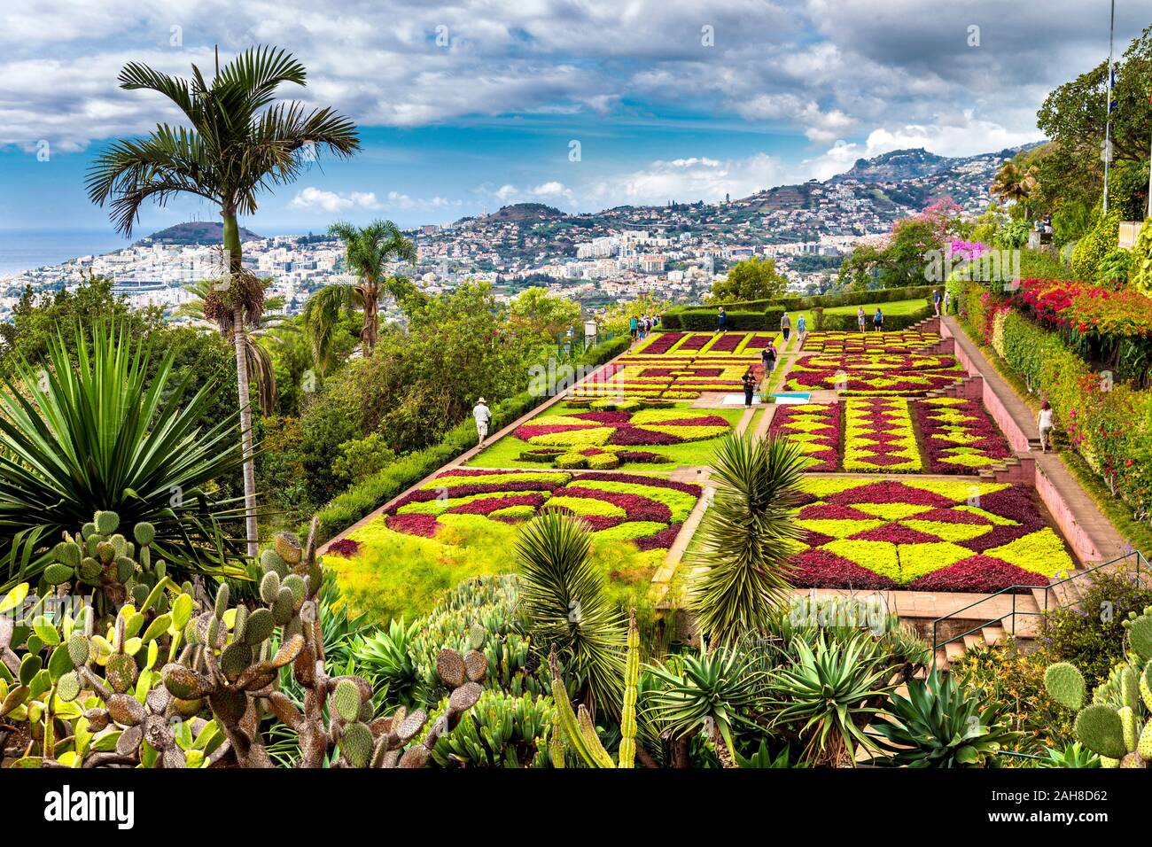 Jardins botaniques (Jardim Botânico da Madeira), Madeira, Portugal Banque D'Images