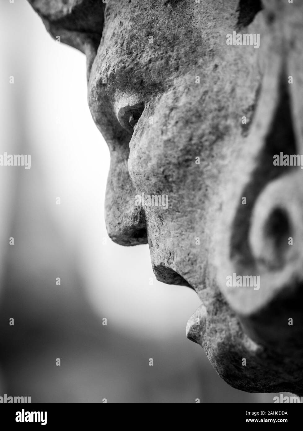 Noir et blanc gros plan sur la tête hurtante d'une statue de marbre Banque D'Images
