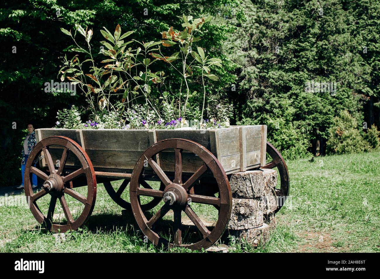 Ancien panier à roues avec des fleurs dans les parcs Banque D'Images