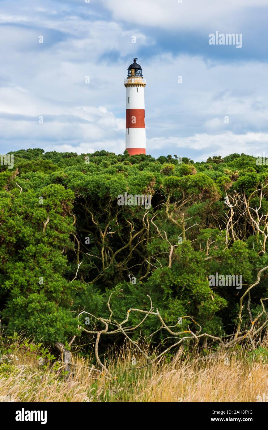 Gros plan symétrique d'un phare écossais rouge et blanc, avec une haie verte épaisse au premier plan, sous un ciel bleu d'été avec des nuages Banque D'Images