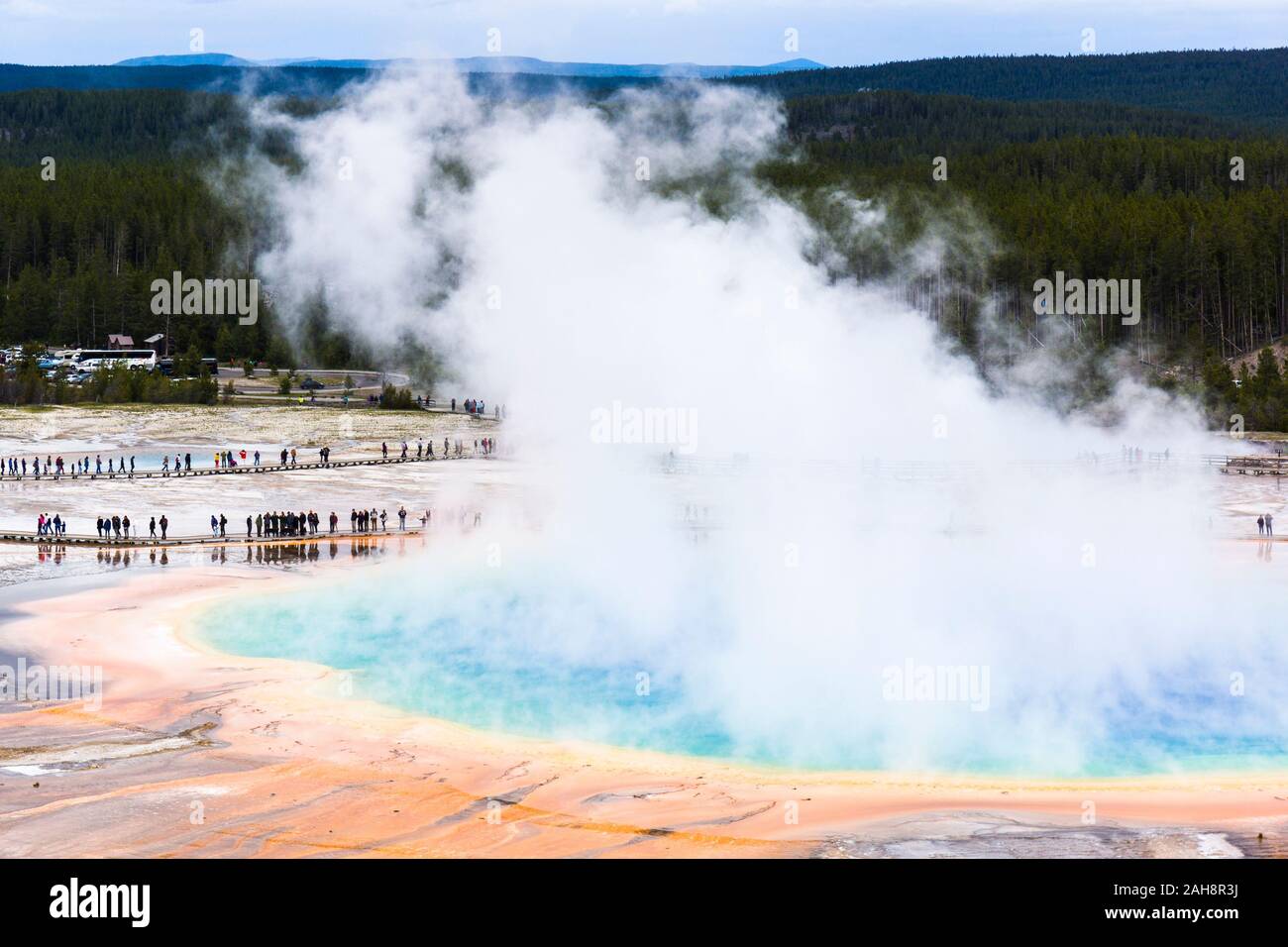 Grand Prismatic Spring, le Parc National de Yellowstone, Wyoming, United States Banque D'Images