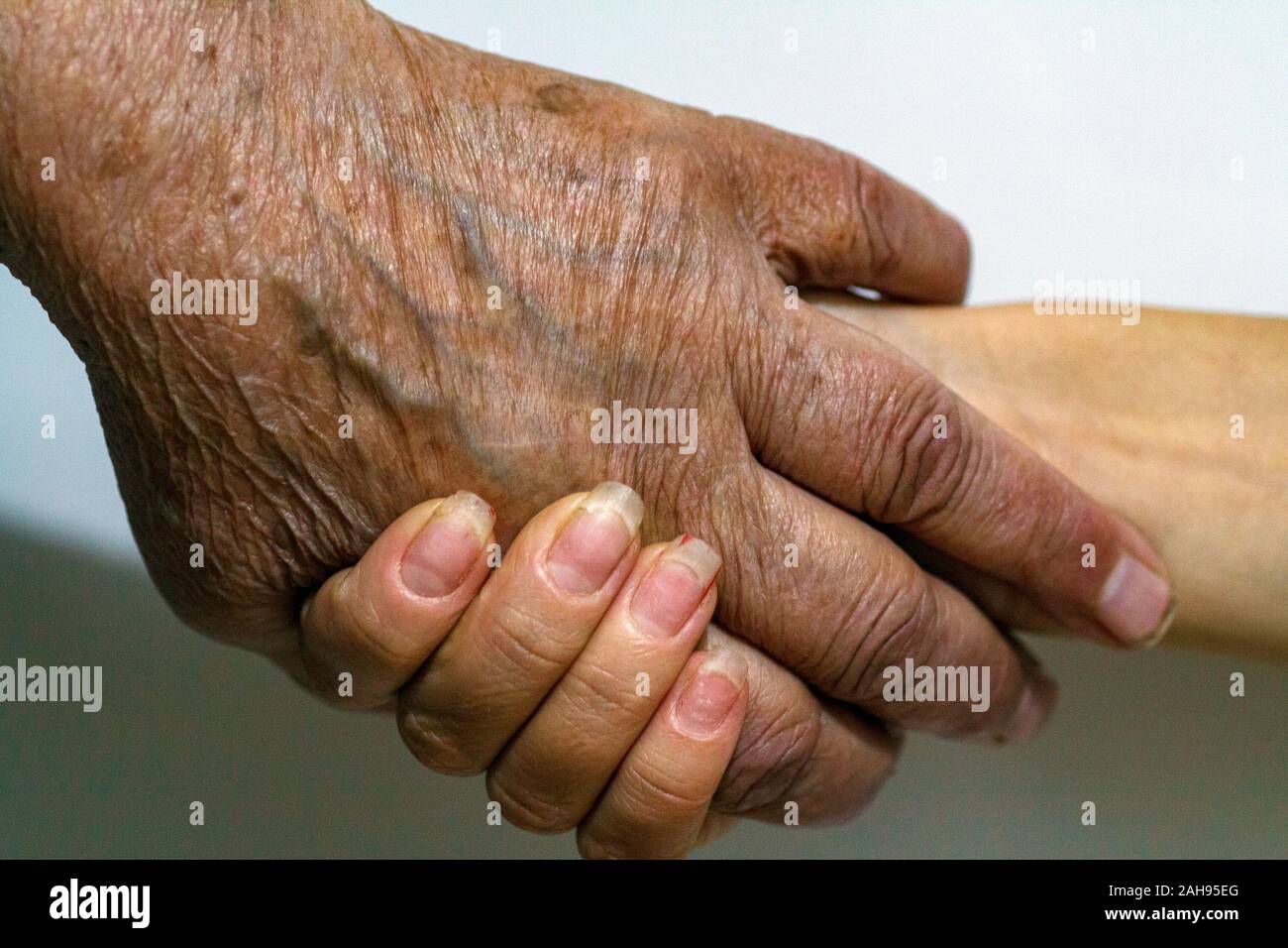 Le processus de vieillissement de la peau ridée - mains d'un très vieil  homme qui a vécu 90 ans avec une peau sèche couverte de rides et taches  Photo Stock - Alamy