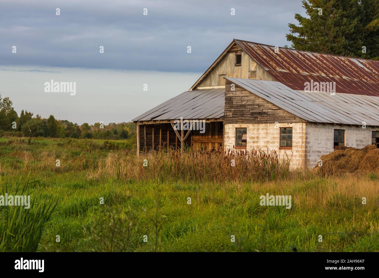 Ferme d'agrément dans le nord du Wisconsin. Banque D'Images