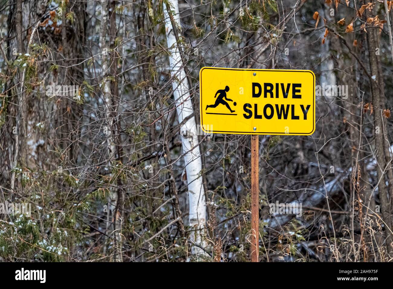 Dans la campagne, un signe sur le côté d'une route étroite à travers les bois lit 'DRIVE' lentement et présente une lecture d'enfant. Banque D'Images