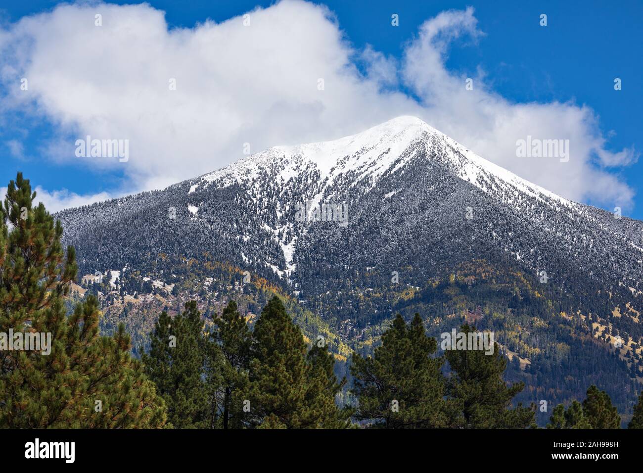 Neige fraîche sur les San Francisco Peaks dans la région de Flagstaff, Arizona, USA Banque D'Images