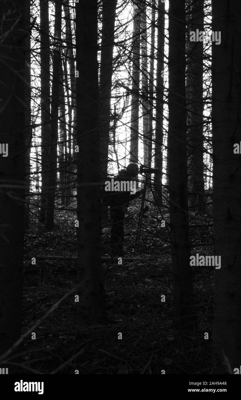 brouillard dans la forêt de faire des photos Banque D'Images