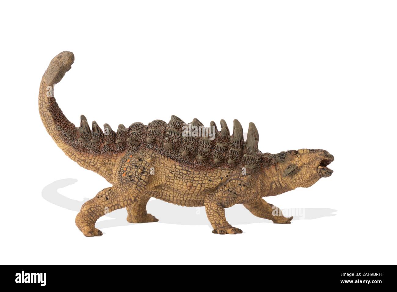 L'Ankylosaurus isolé sur fond blanc. Vue latérale.Ankylosaurus est un dinosaure herbivore vivait dans l'ère du crétacé. Idéal pour de l'image livre scientifique Banque D'Images