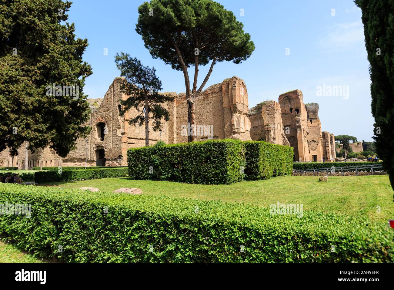 Vue panoramique sur terme di Caracalla à Rome. Des pins parapluie dans de vastes ruines Banque D'Images