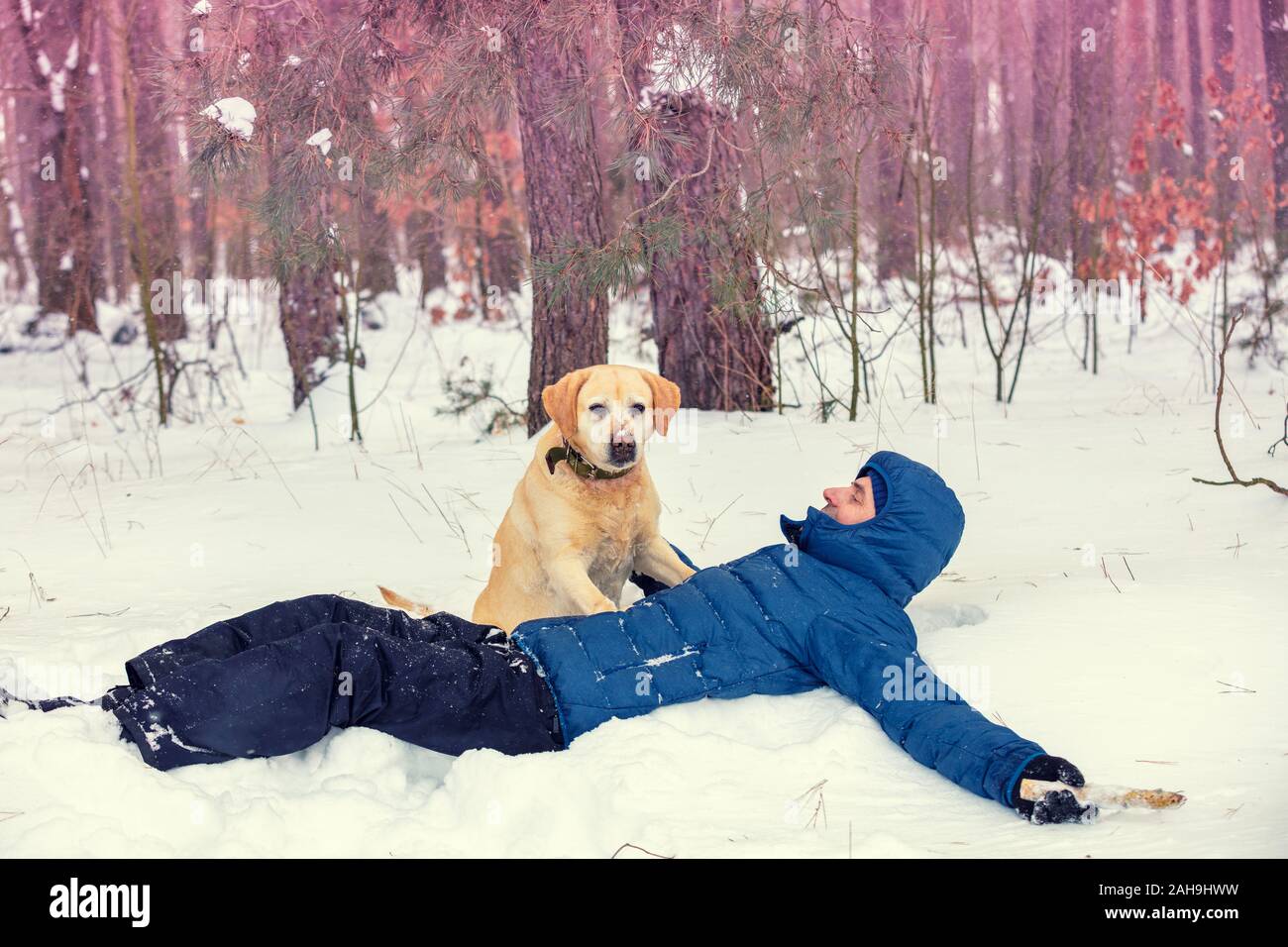 Une happy smiling man avec un Labrador retriever chien couché dans la neige en hiver. L'homme allongé sur le dos Banque D'Images