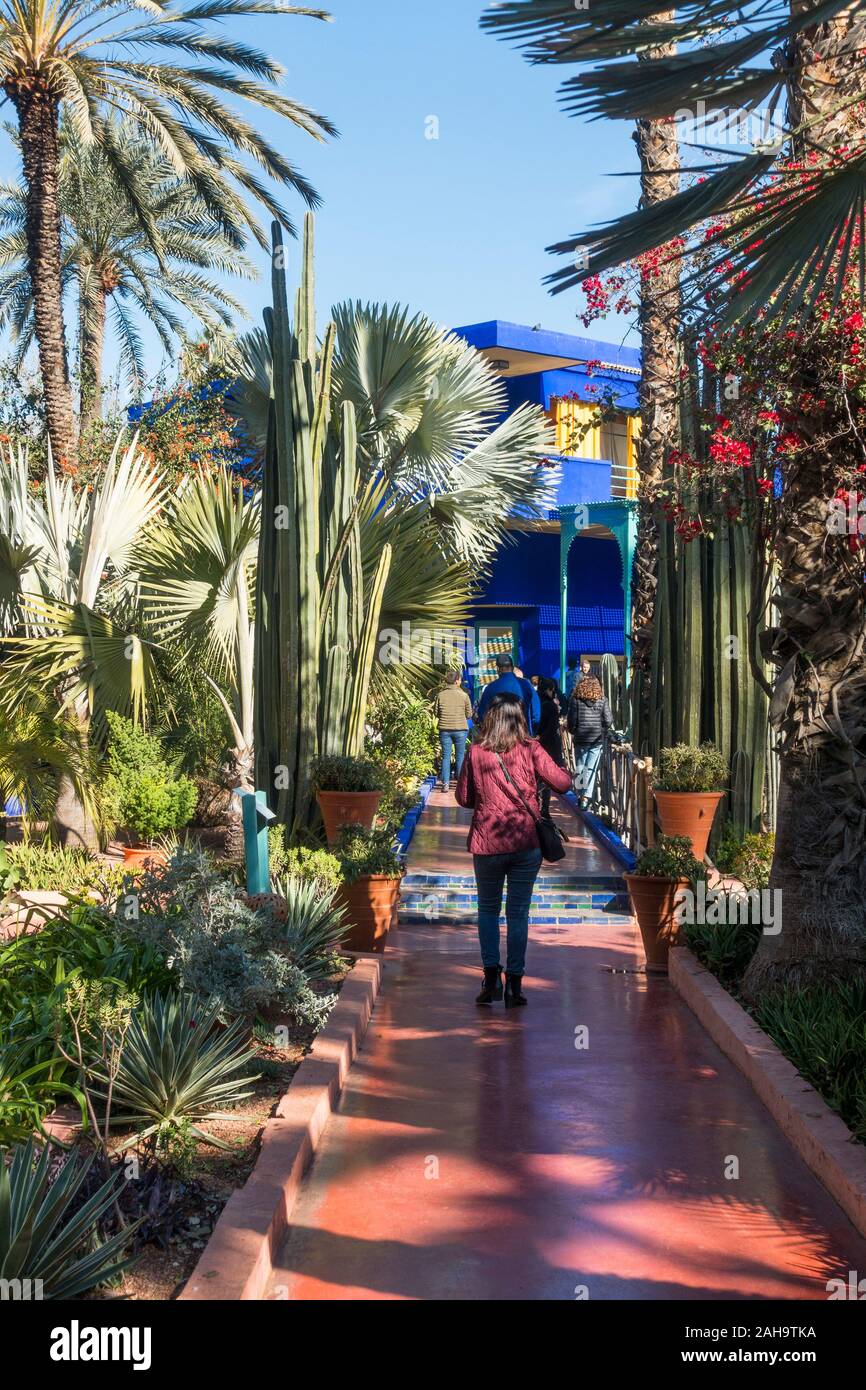 Blue House dans le Jardin Majorelle Jardin Botanique, anciens propriétaires Yves Saint-Laurent et Pierre Bergé, Marrakech, Maroc. Banque D'Images