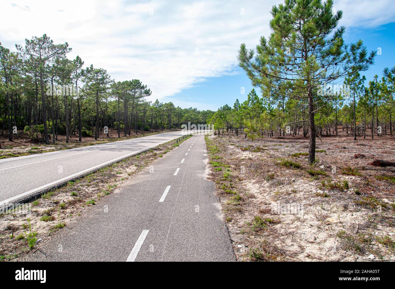 L'Eurovelo 1 route de la côte atlantique près de Caldas da Rainha dans le centre du Portugal. Cette piste cyclable longe l'océan Atlantique Banque D'Images