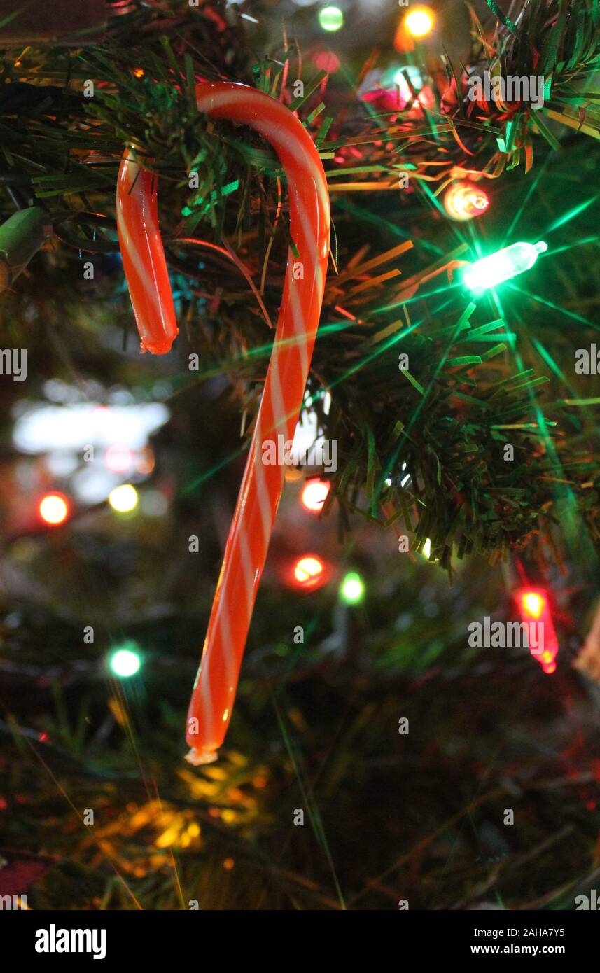 Canne de Noël suspendu à un arbre Banque D'Images