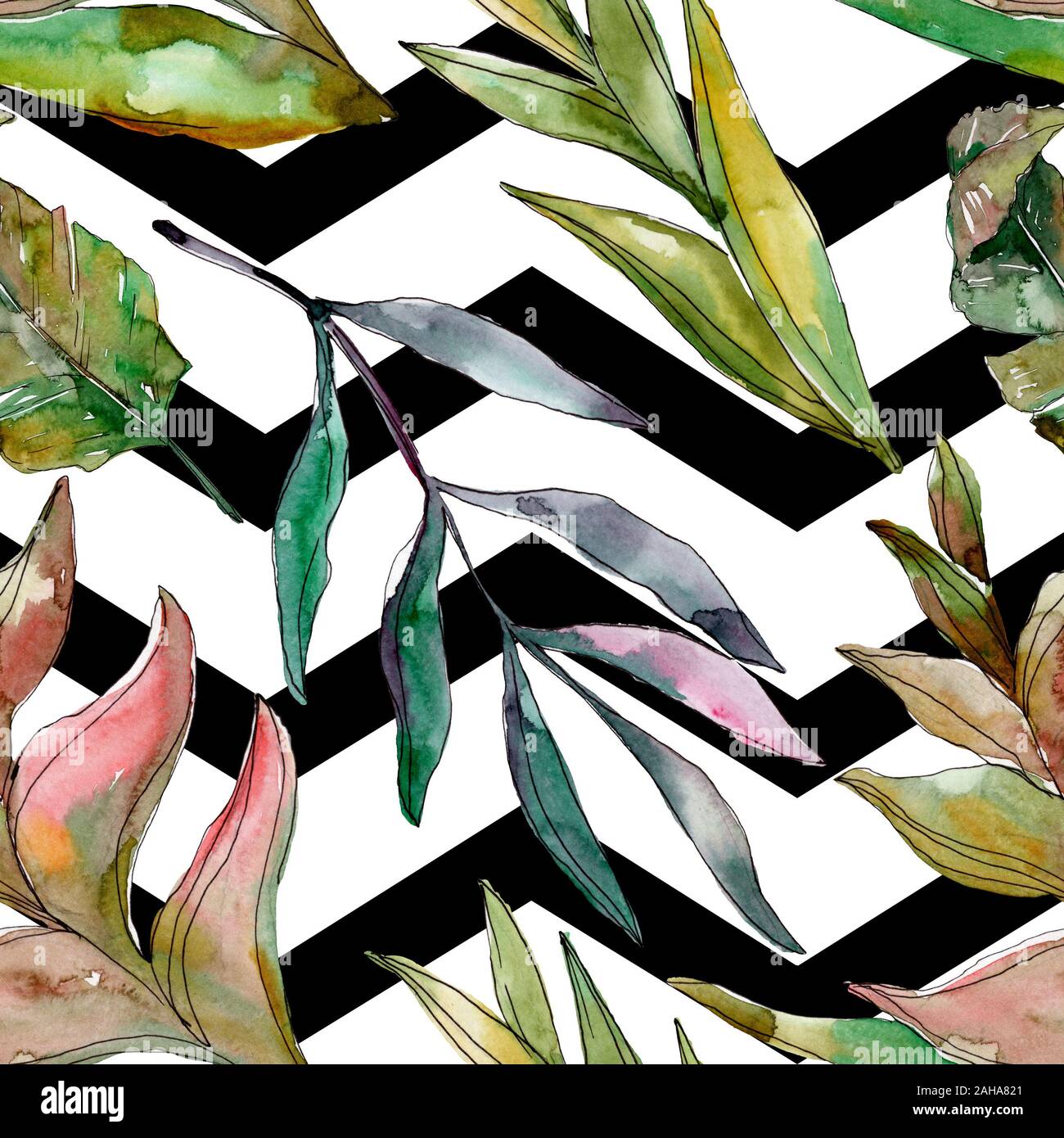 Hawaiian tropical exotique de l'été. Palm Beach de feuilles d'arbres jungle botanique. Illustration à l'aquarelle. Aquarelle Dessin aquarelle. Background transparent Banque D'Images