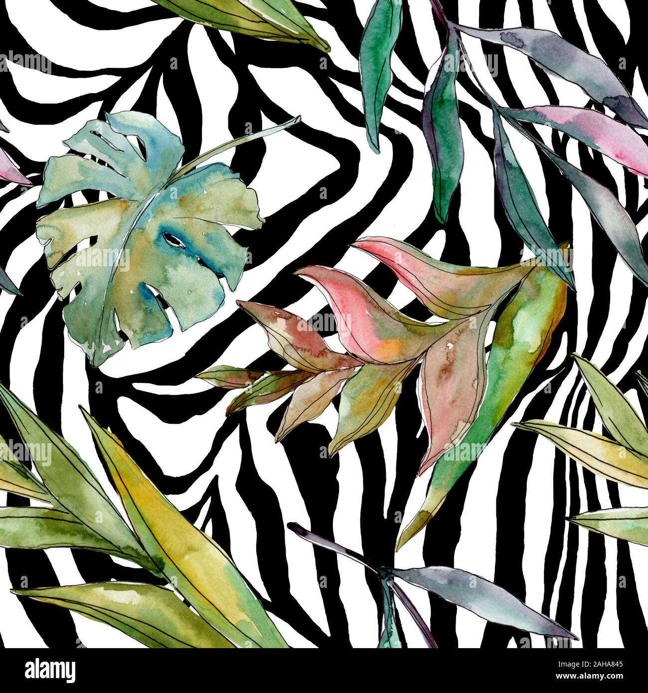 Hawaiian tropical exotique de l'été. Palm Beach de feuilles d'arbres jungle botanique. Illustration à l'aquarelle. Aquarelle Dessin aquarelle. Background transparent Banque D'Images