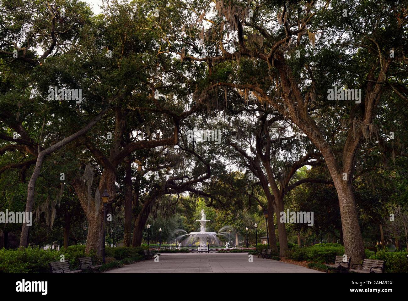 Forsyth Park, Savannah en Géorgie,fontaine,USA,parcs publics,eau,fonctionnalités,fontaine en fonte,moss-hung oaks,USA,RM parc Banque D'Images