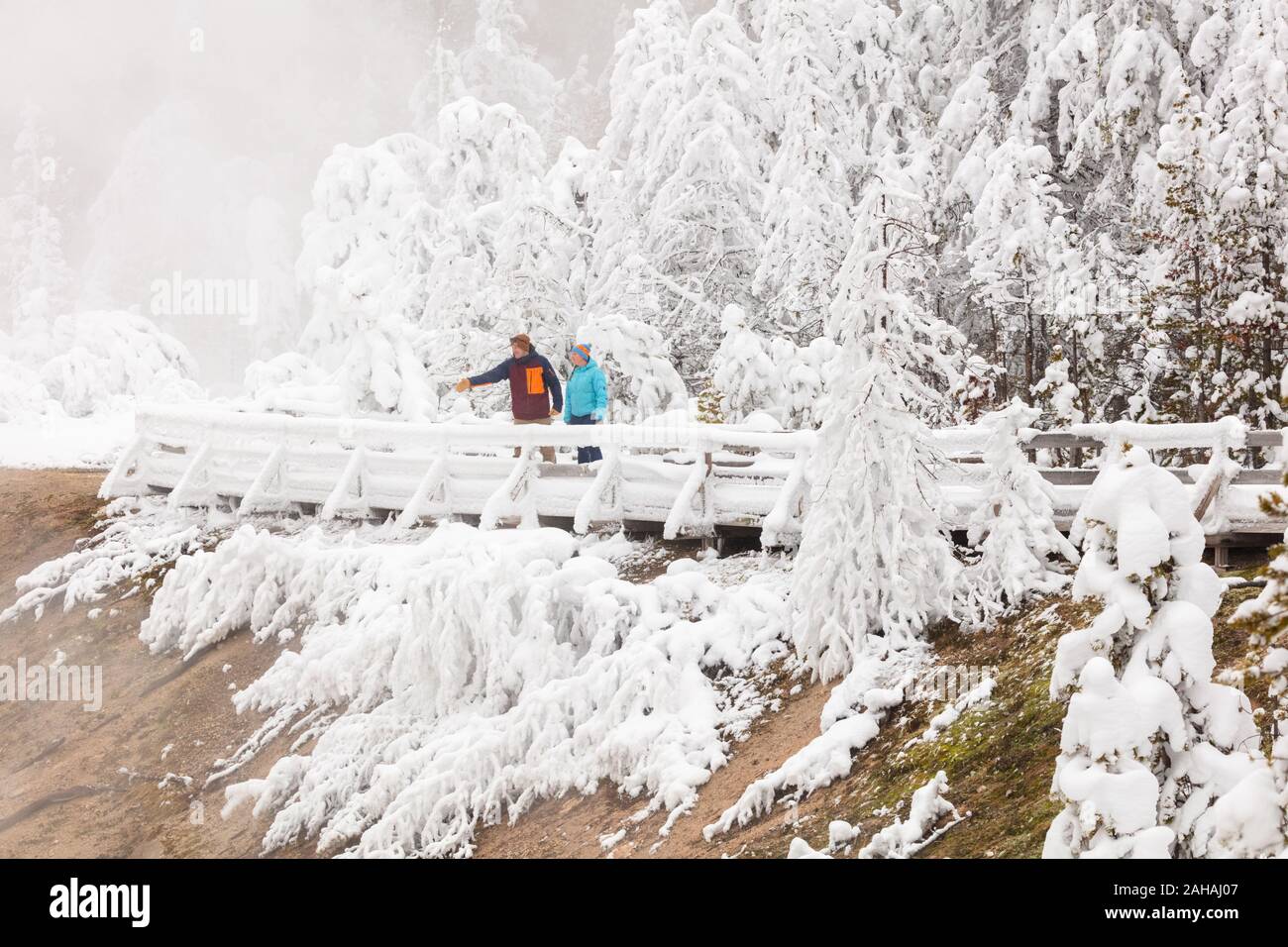 Les touristes à pied le long d'une promenade couverte de neige autour du bassin en porcelaine au Norris Geyser Basin en hiver 20 décembre 2019 au Parc National de Yellowstone, Wyoming. Banque D'Images