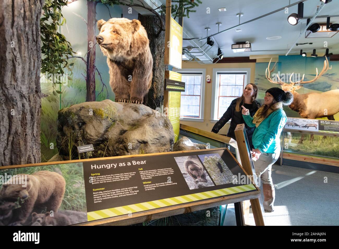 Réchauffer les touristes hors de l'hiver glacial pendant l'affichage de la pièce lors de l'Albright Visitor Center à Mammoth Hot Springs à Yellowstone National Park le 19 décembre 2019 dans la région de Mammoth, Wyoming. Banque D'Images