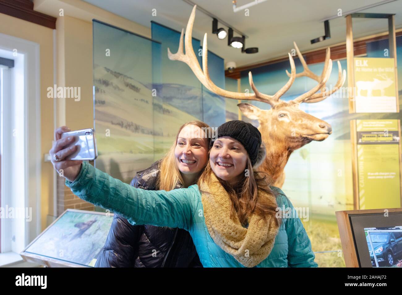 Les touristes prendre un en face de l'selfies expose à l'Albright Visitor Center à Mammoth Hot Springs à Yellowstone National Park le 19 décembre 2019 dans la région de Mammoth, Wyoming. Banque D'Images