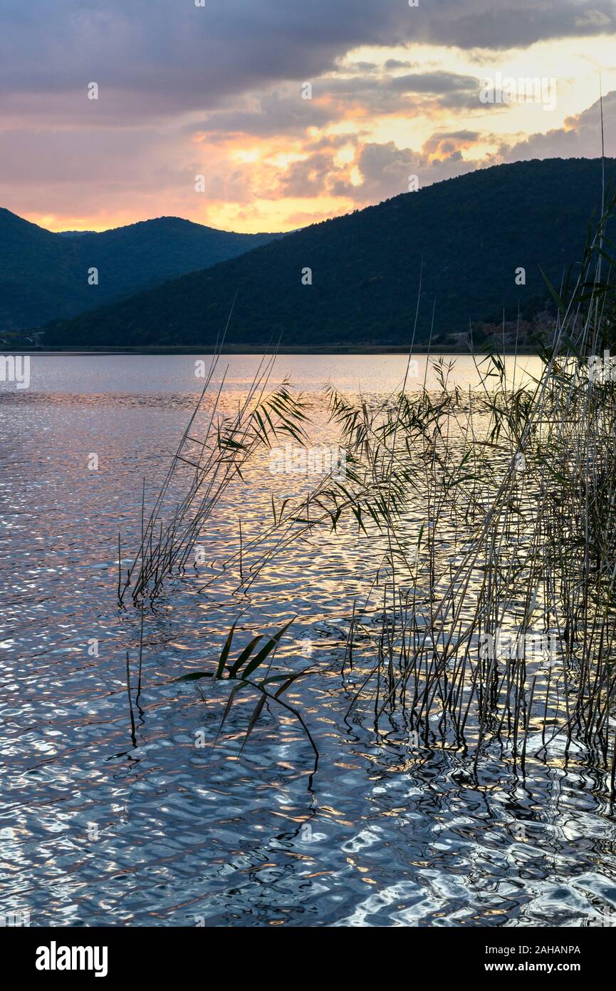 La recherche à travers les roselières au Mikri Prespa Lake au coucher du soleil, la Macédoine, la Grèce du Nord. Banque D'Images