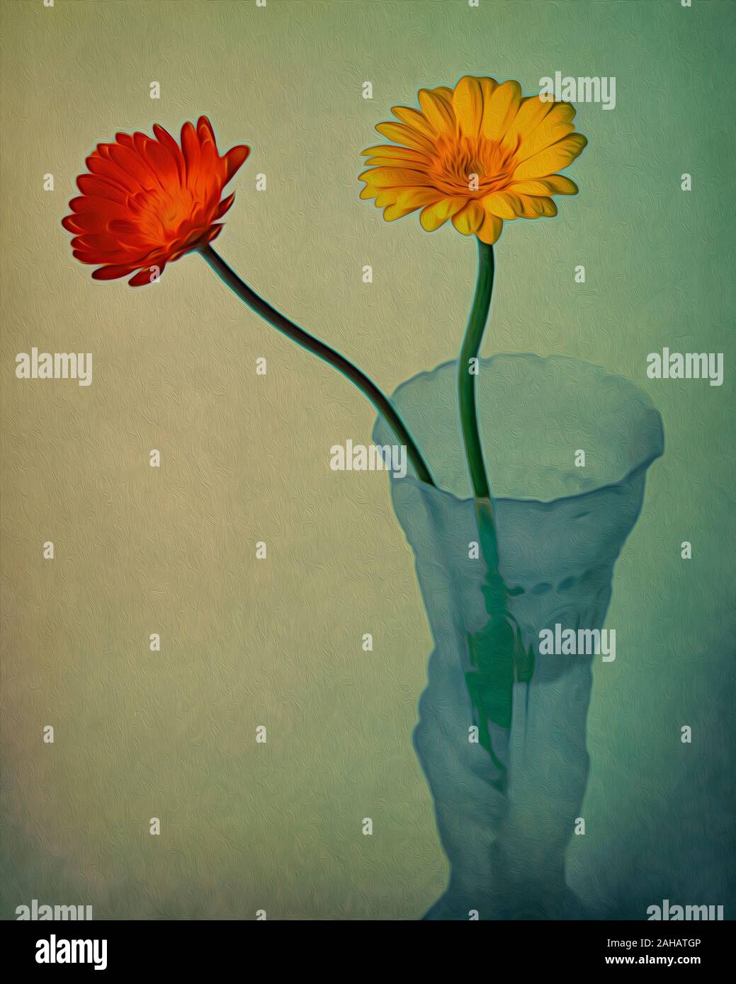 Carte de voeux Design : Gerbera ou Barbeton Daisy (lat : Gerbera jamesonii) Banque D'Images