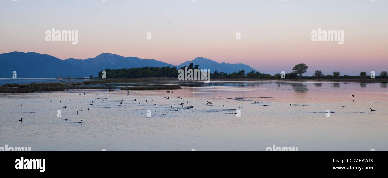 Les zones humides le long de l'embouchure de la rivière Neretva, Croatie Banque D'Images