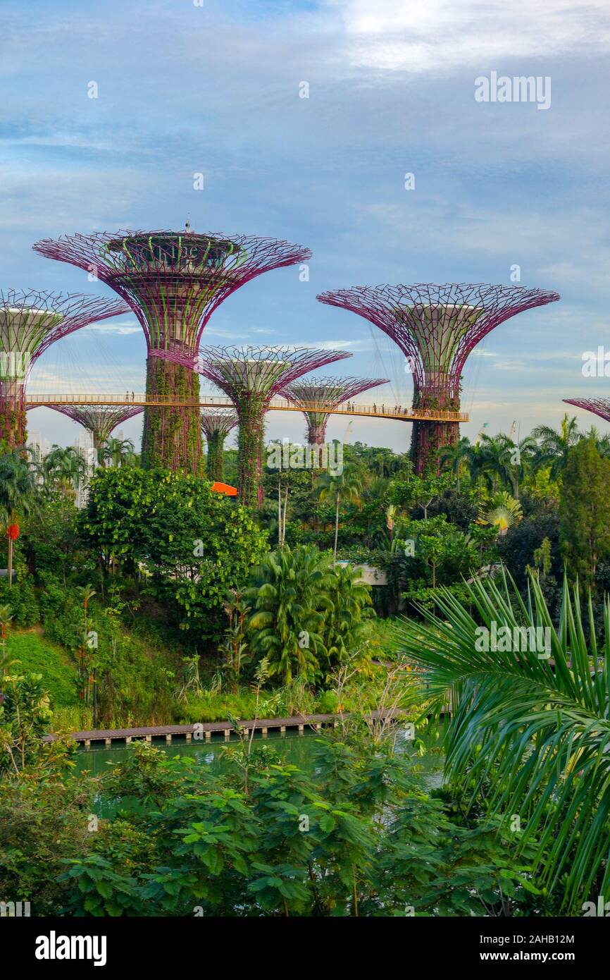 Les arbres artificiels géant Super dans les jardins de la baie à Singapour Banque D'Images