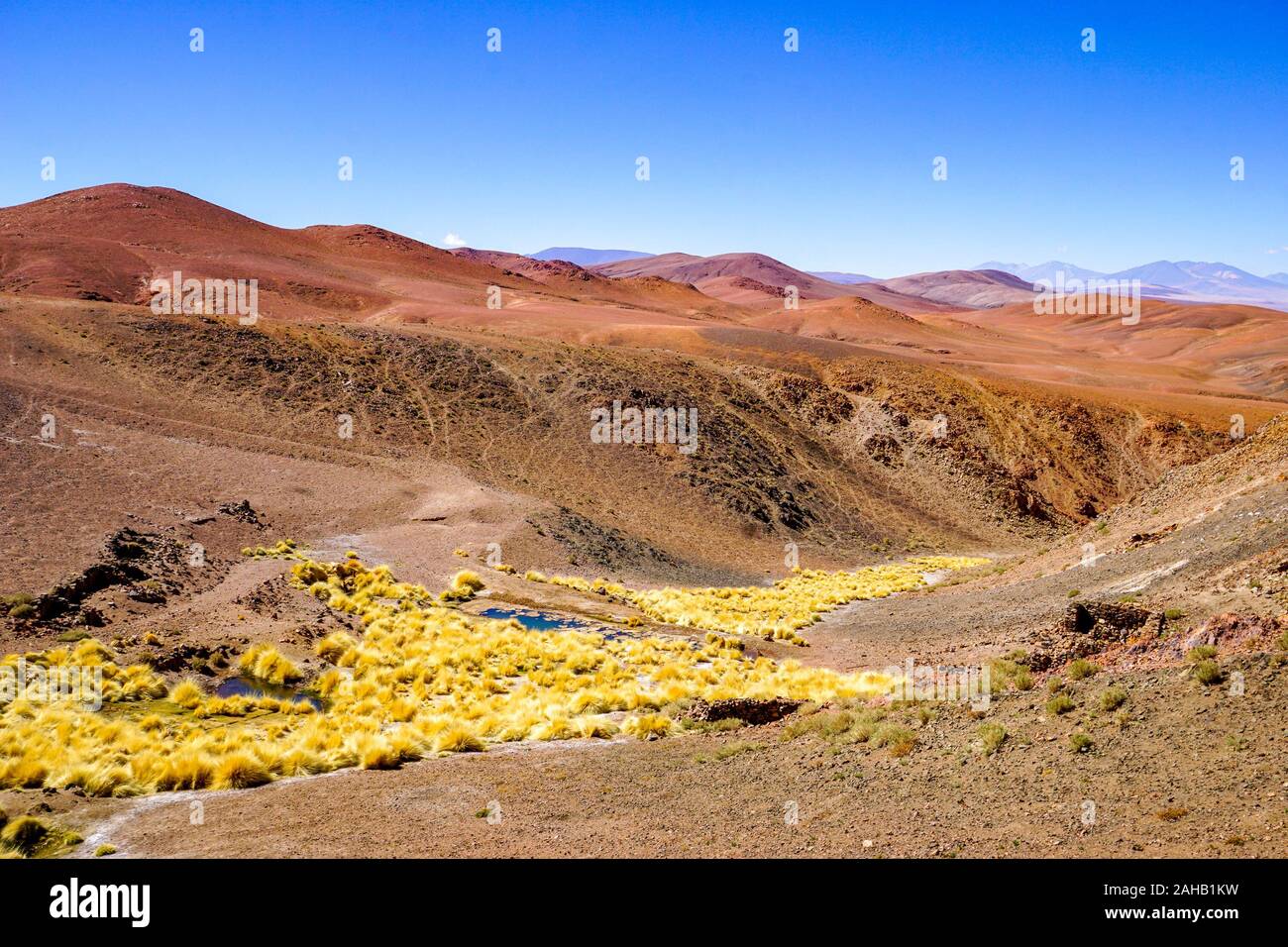 Orange et rouge spectaculaire des montagnes avec de l'herbe jaune vif dans la haute altitude puna altiplano désert près de Salta en Argentine Banque D'Images