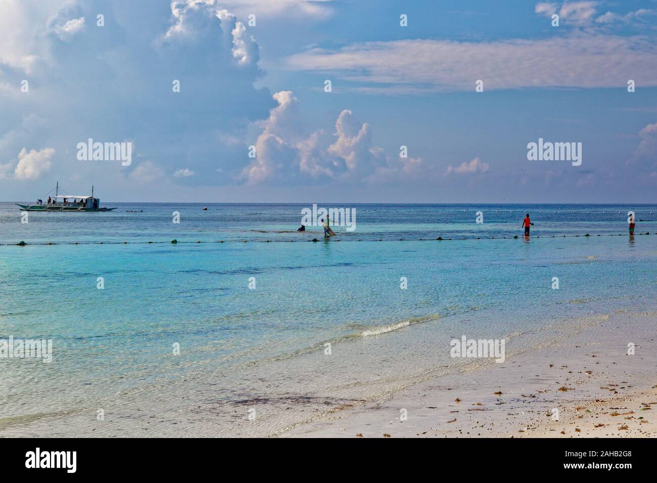 Les moules chasseurs dans les eaux de mer de Bohol, Panglao beach dans Philippines Banque D'Images